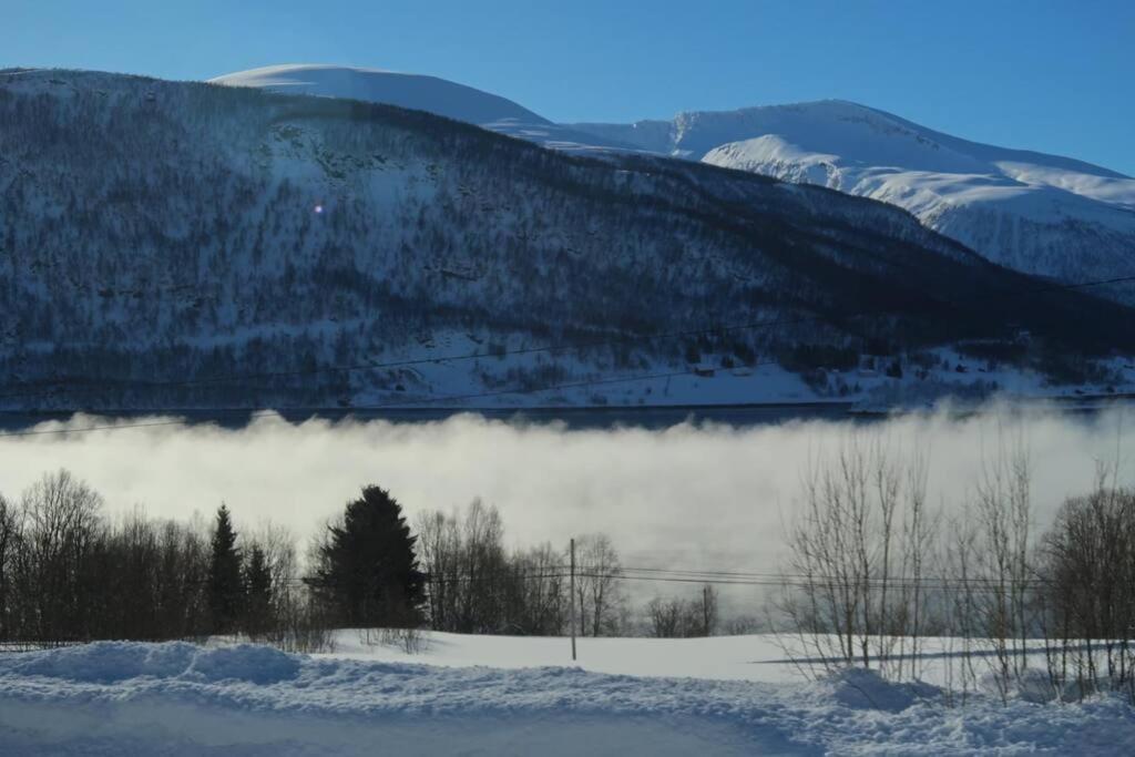 New Magnificent View Apartment Near The Centre Tromso Exterior photo